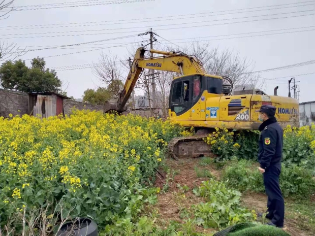 整治違規(guī)種菜 提升城市形象