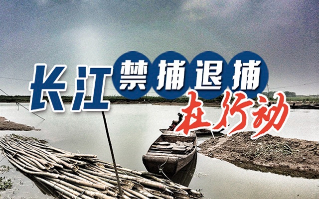 織密織牢“水上打、陸上管、市場查”執(zhí)法監(jiān)管網(wǎng)絡