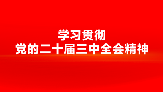 深入學習貫徹黨的二十屆三中全會精神，他們這樣說